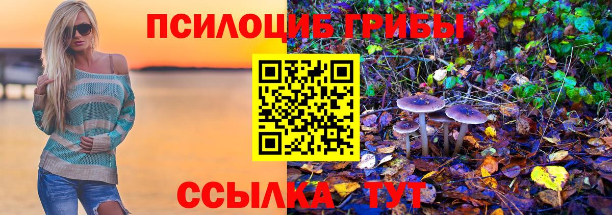 Галлюциногенные грибы GOLDEN TEACHER  Вход с VPN  Псилоцибиновые грибы Psilocybe  цены   Кизляр 